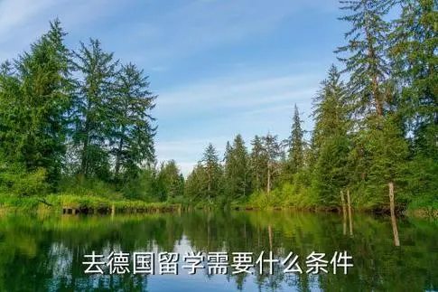 u=4220977579,1335428600&fm=253&fmt=auto&app=138&f=JPEG