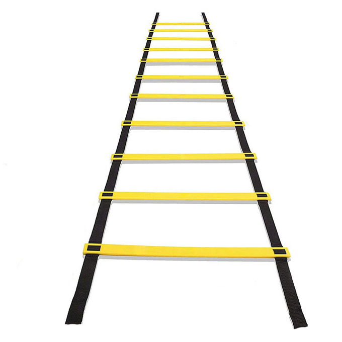 DY-AB-202 Agility Ladder