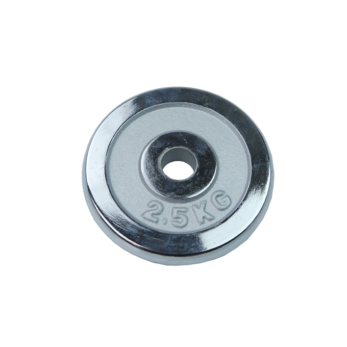 Chrome Weight Plate DY-WP-07