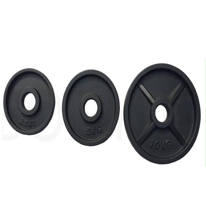 Olympic Painted Weight Plate DY-WP-019