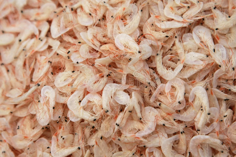 dried small shrimps