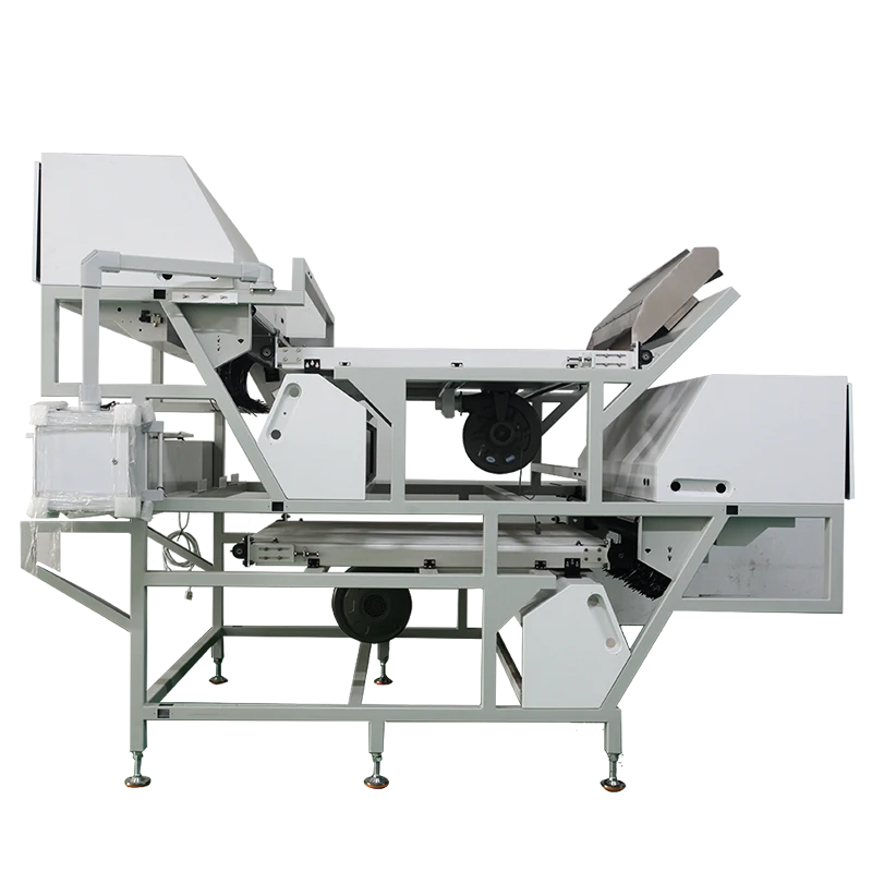 Belt-type Plastic Color Sorter