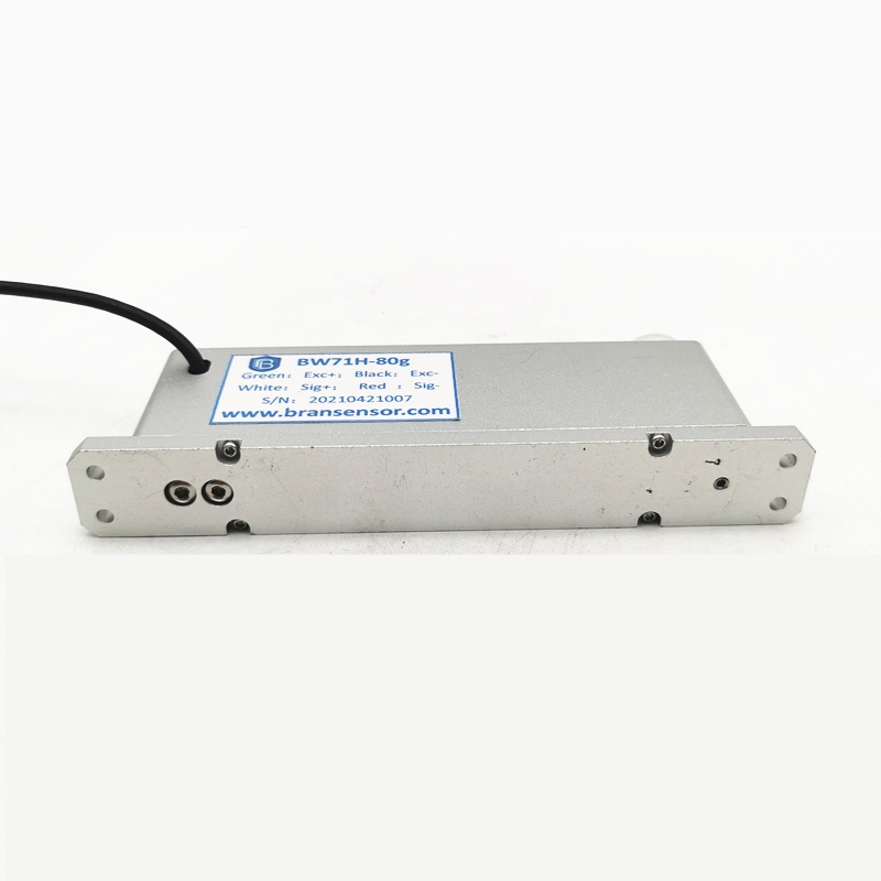 5/10/20/50/80g high precision small capacity load cell (BW71H)