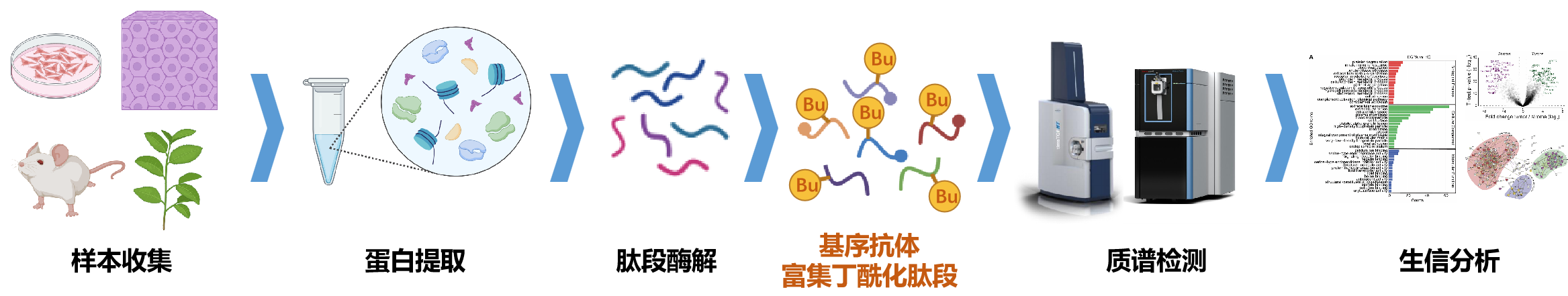描述