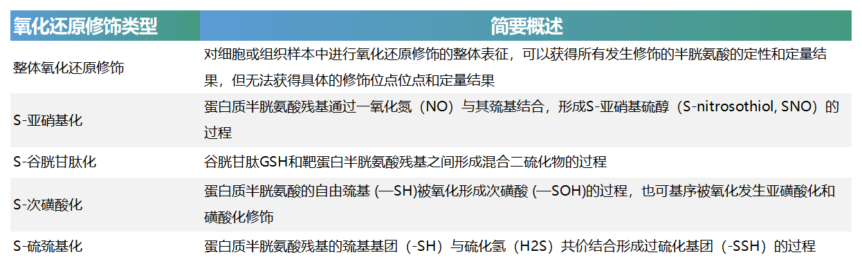描述