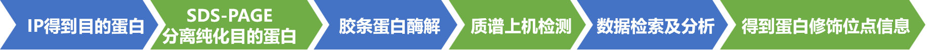 描述
