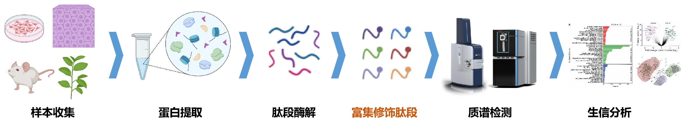 描述