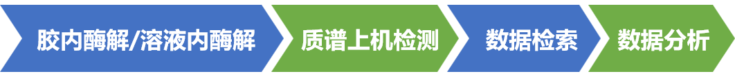 描述