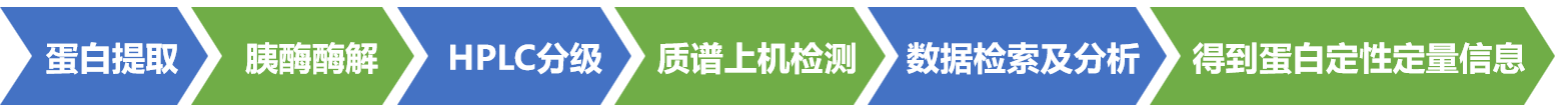描述