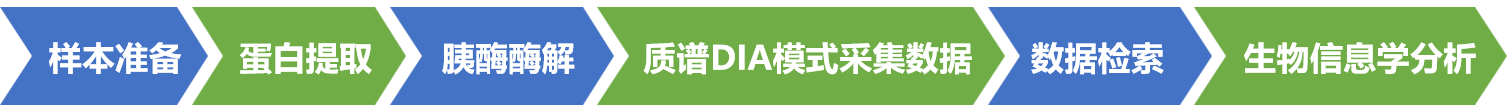 描述
