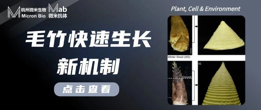 06abc69116db6b06cc63d329add9cbd0
