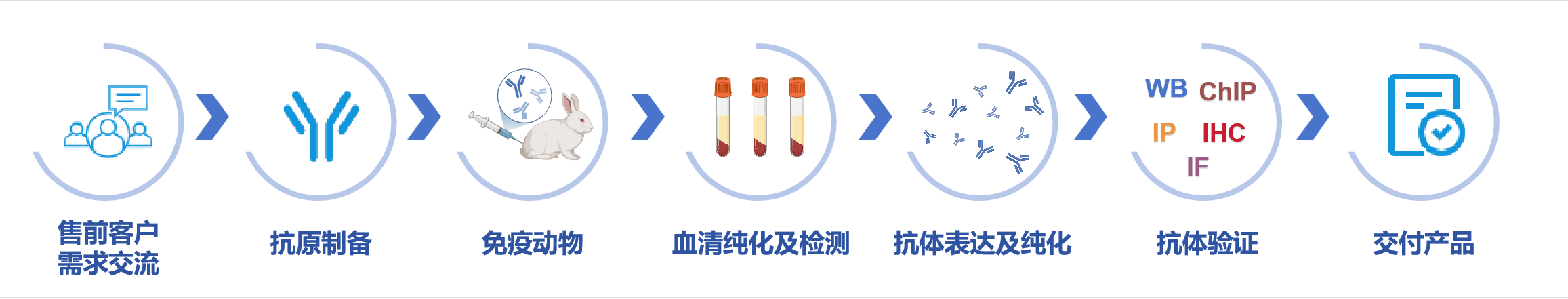 描述