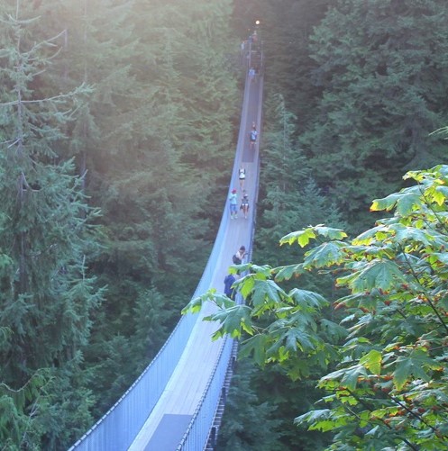 The Capilano Suspension Bridge is arguably the most popular attraction in North Vancouver. Although it’s become quite touristy over the past decade, it delivers a truly unique West Coast experience unlike anywhere else. The star attraction is the wobbly suspension bridge. It stretches 450 feet from end-to-end and 230 feet above the Capilano River.