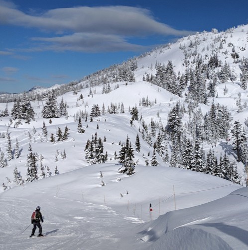 Mount Seymour is a popular winter destination located in Mount Seymour Provincial Park. The Mount Seymour ski area has four lifts, 40 ski/snowboard runs, 4 terrain parks, 330 meters of vertical drop, and 200+ acres of skiable terrain. Here’s a trail map of Mount Seymour. Mount Seymour has several snowshoe trails with varying difficulty. Here’s the snowshoe trail map. Snowshoes are required on the Discovery Snowshoe Trails and can be rented at the lodge.