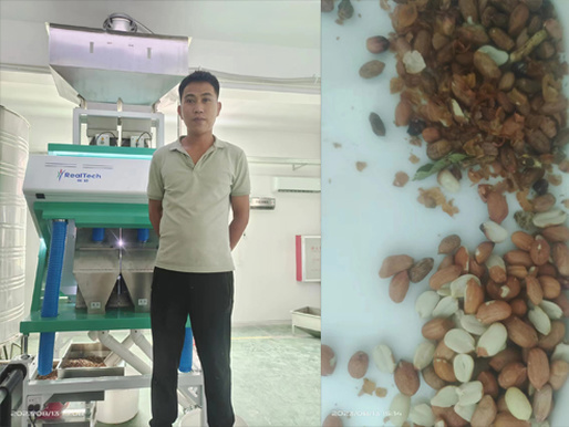 Peanut Color Sorter Machine 128 Channels Color Sorter Machine,according to the needs of customers, the bad materials in peanuts are sorted out 