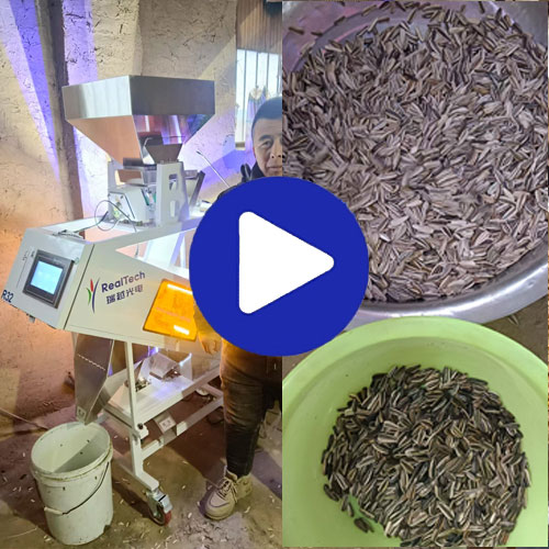 Mini Seeds Color Sorter