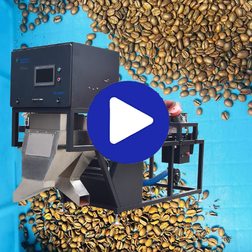 AI Color Sorting for Coffee Bean BL30