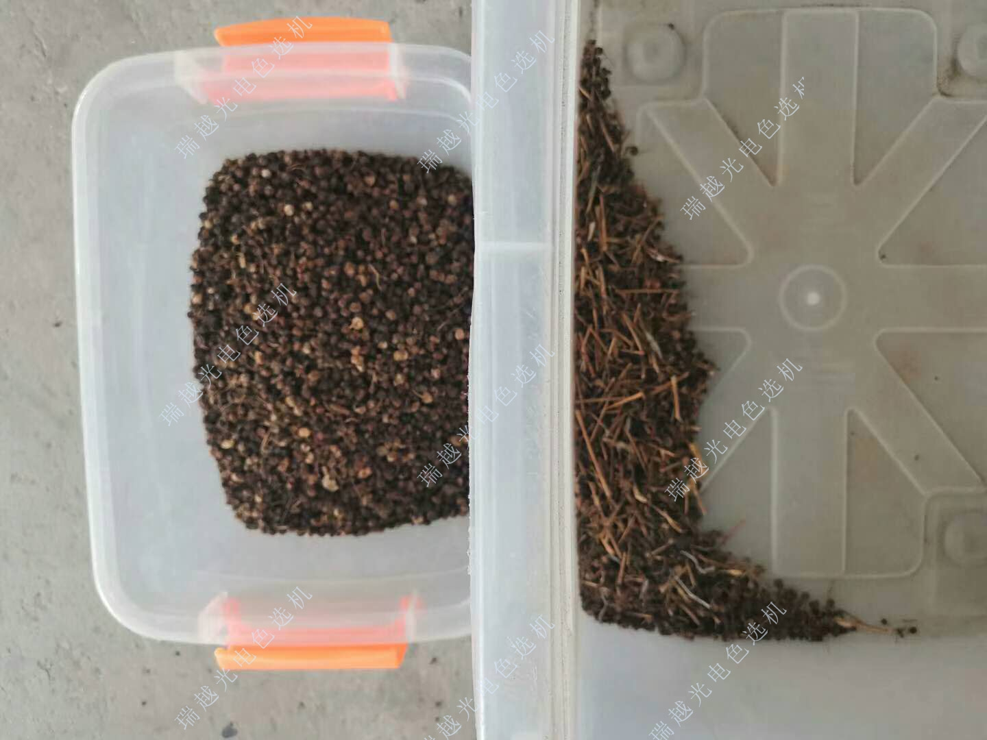 5 (1)_20230803_16910627061115440