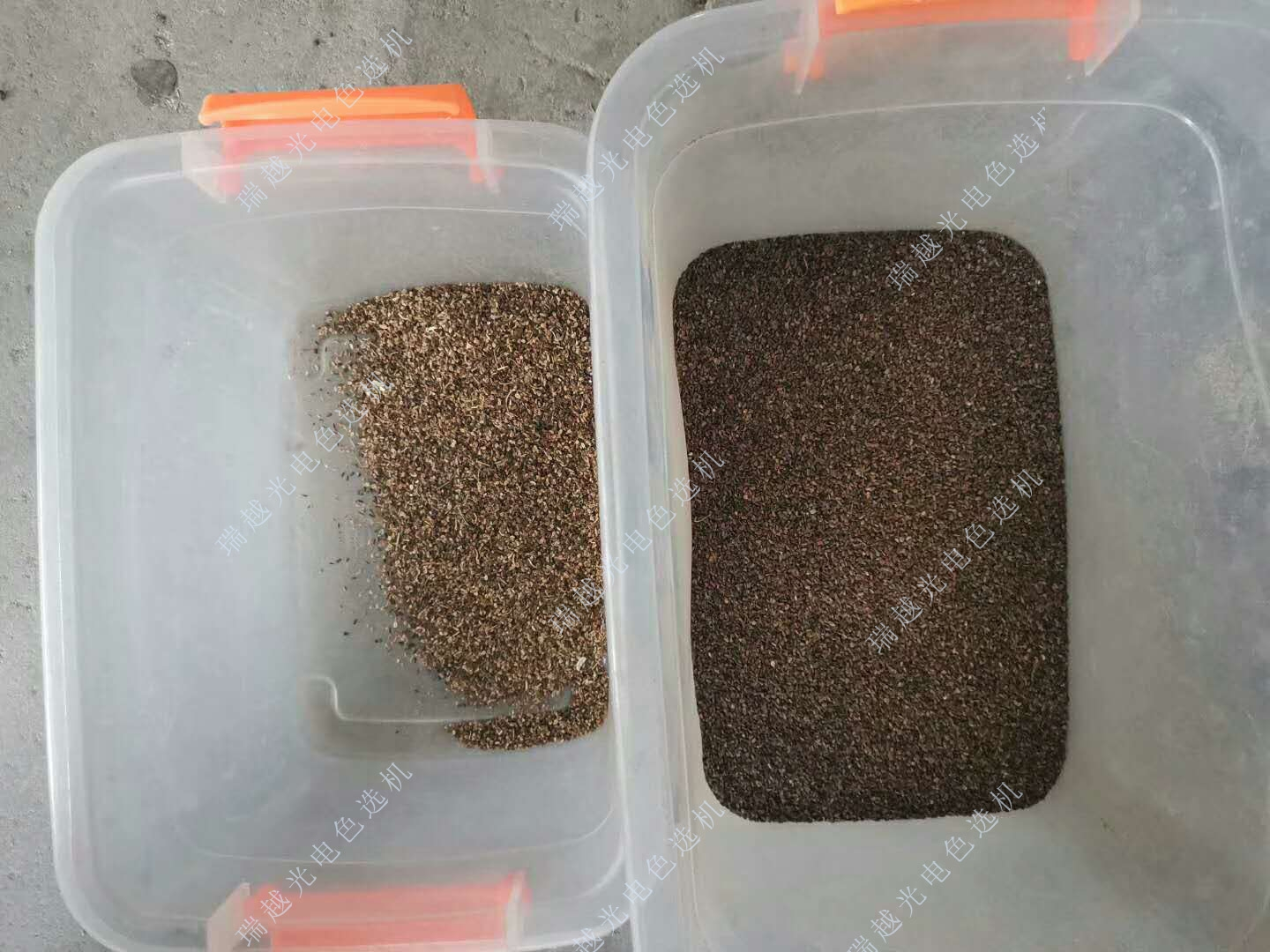 5 (2)_20230803_16910627147297600