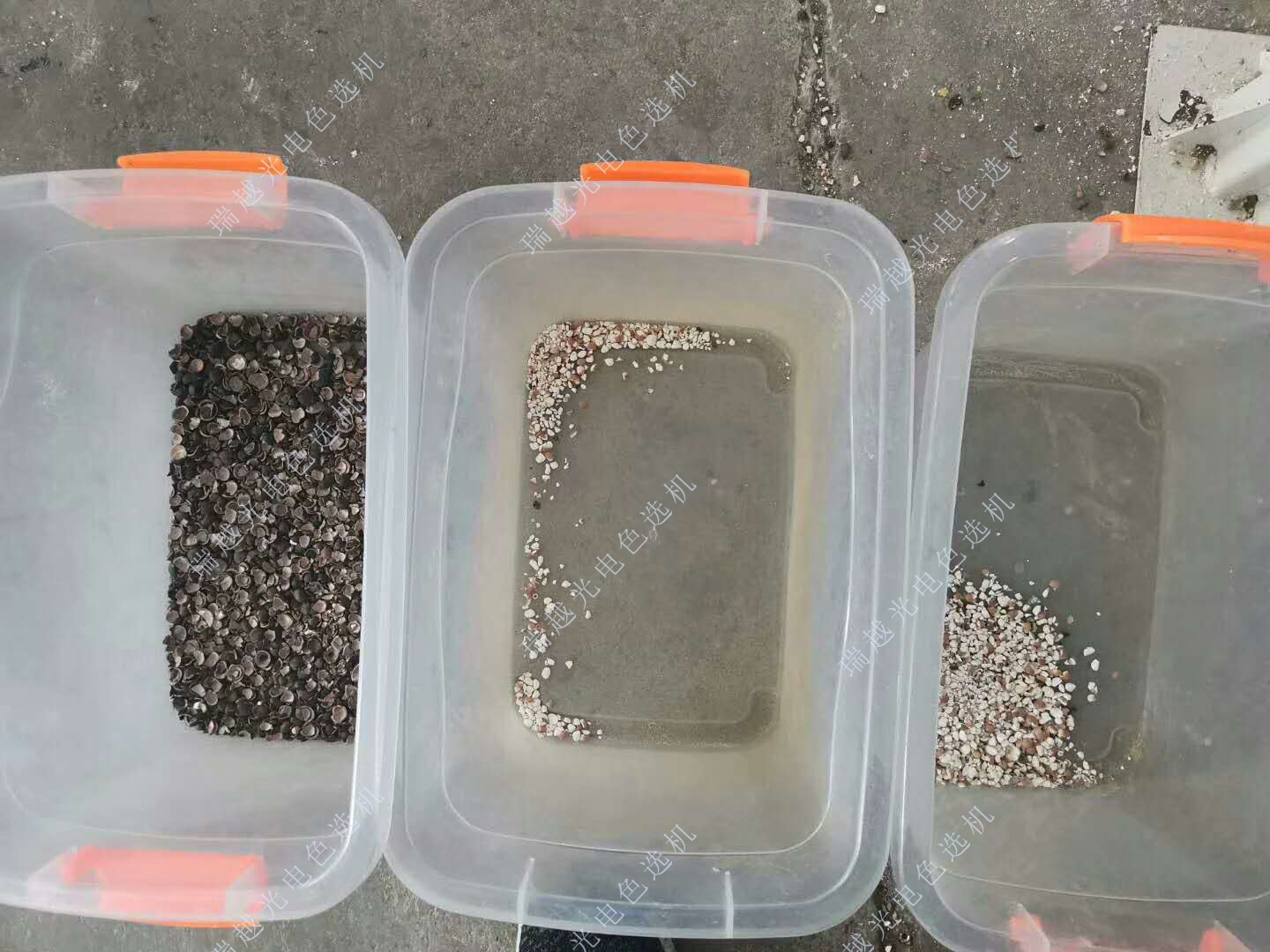 5 (3)_20230803_16910627237076270