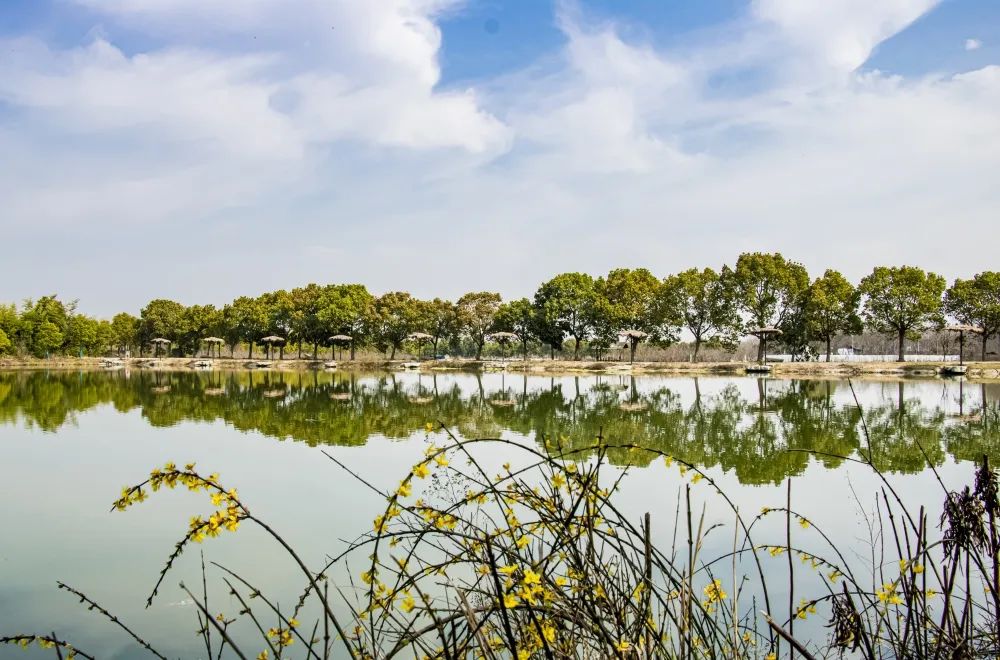 41e30ab47fc9750680b74c43efd9d7bd