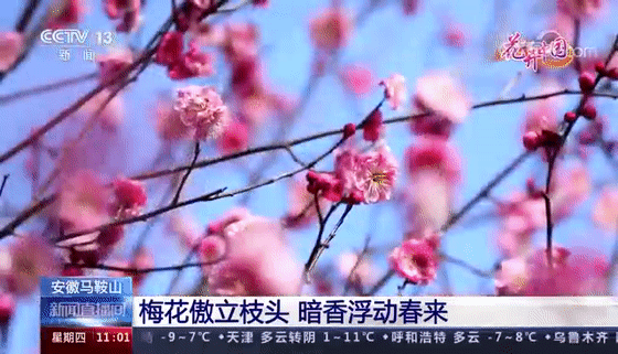 c40bd3ec98570029f5e82a7cc30696c9