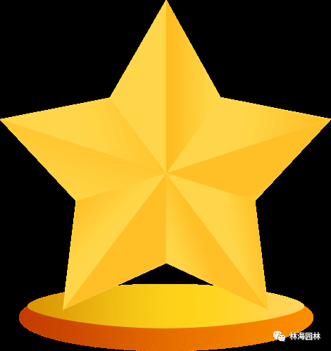 aac8019fc2715419686394eaf6c9c4c8