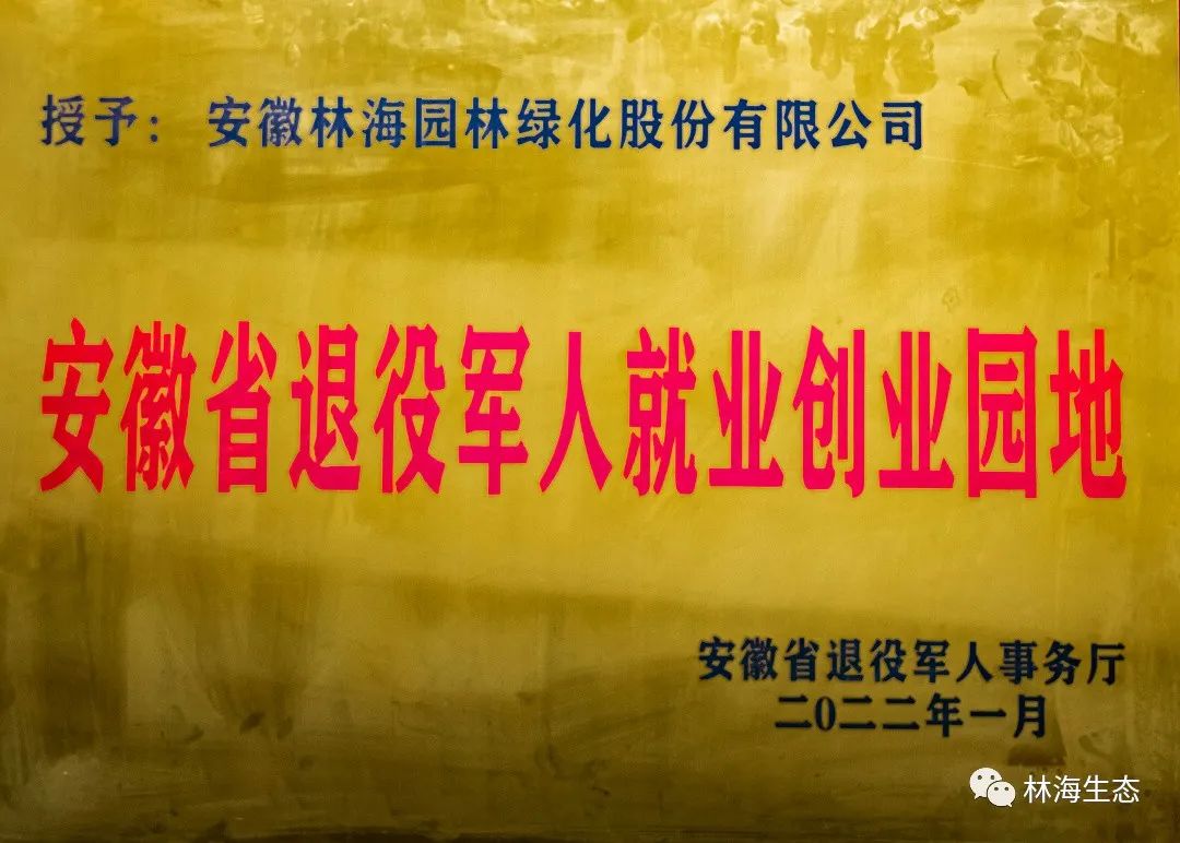 175f02fe73b605245a0ecfaef0758380