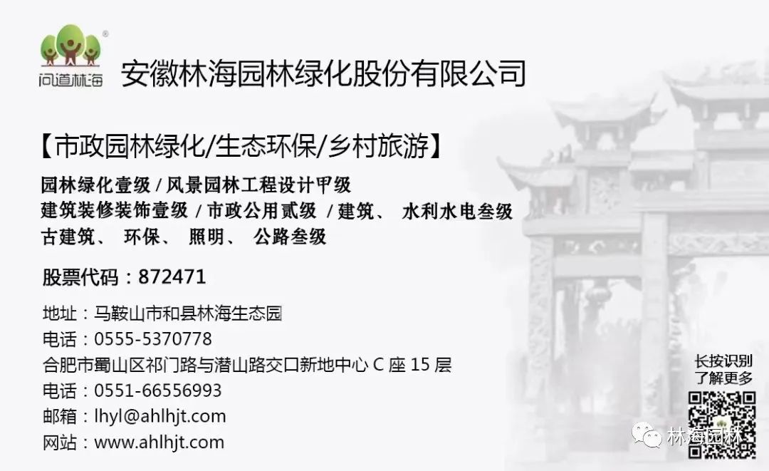 c165ee80bdca4e812f325ec5f30530c2