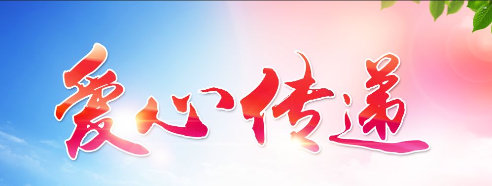 ed8058705bbef61aa002c0e569c4d040