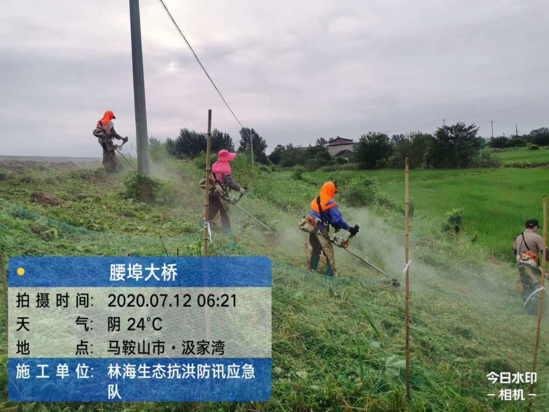 ab46578bfb44220f69c7a32a4e03bb72