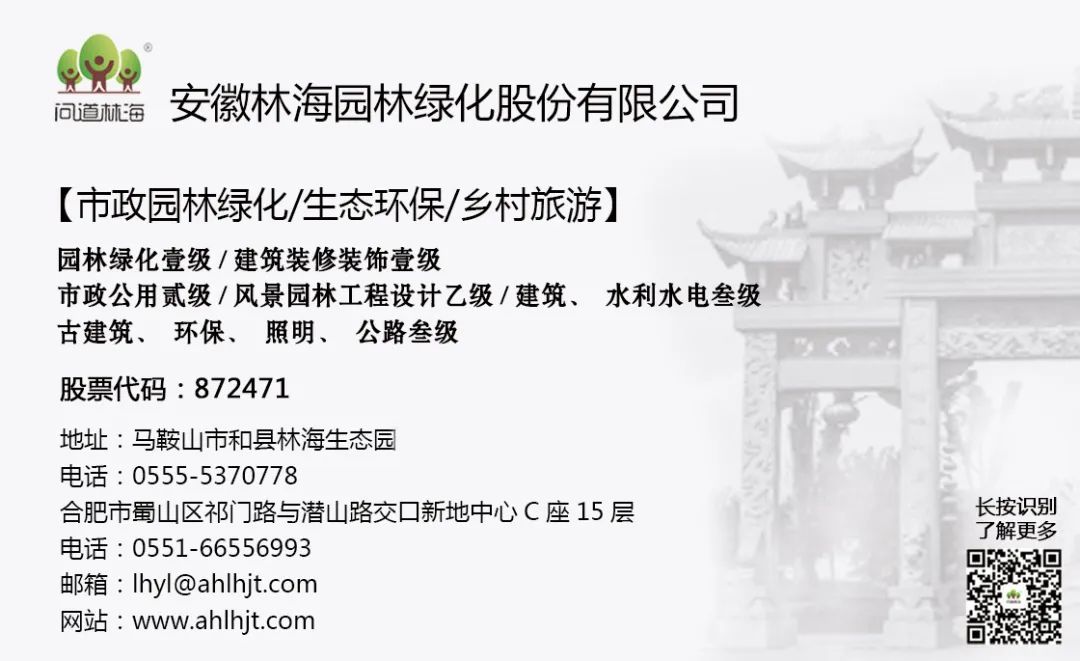 2a0552e268ef52125513dcc031ef2c84