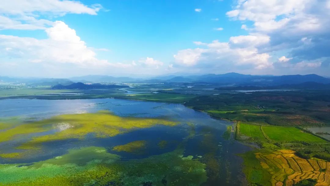 fef69c7db1b3b4fb5e895e8397e70cb5