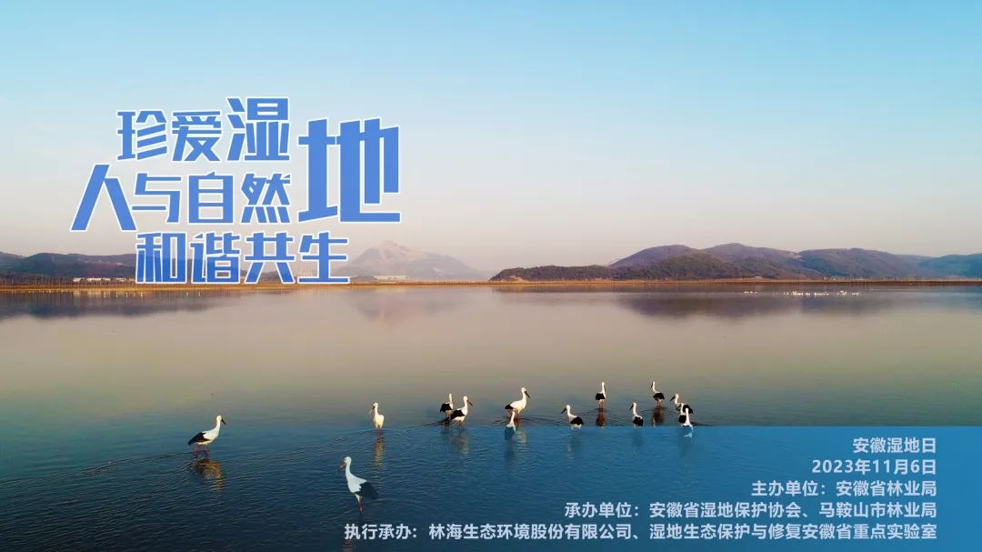 1699497471507fd58943344e914b6