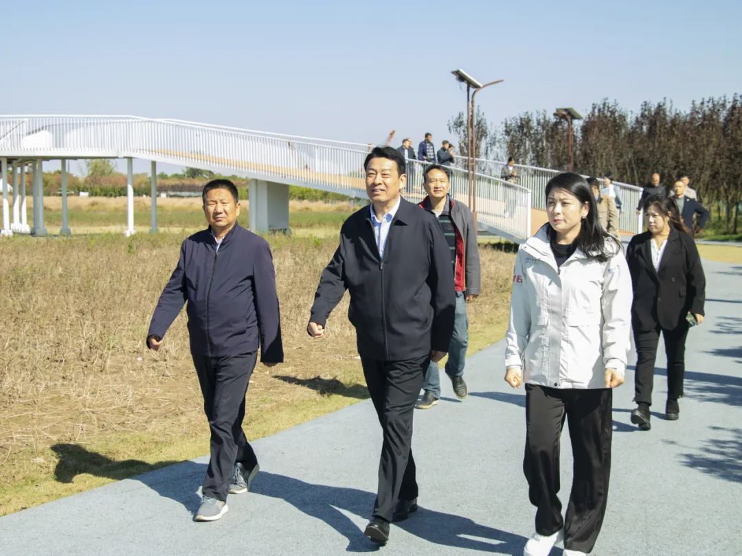 1699497472016c31611e8687faba5