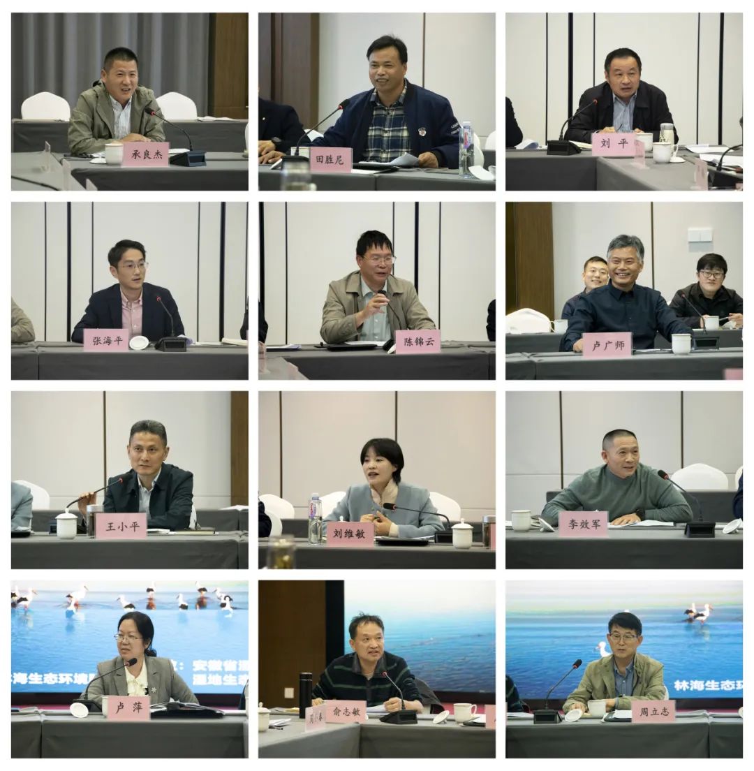 169949747475235e17fefbe96ca29