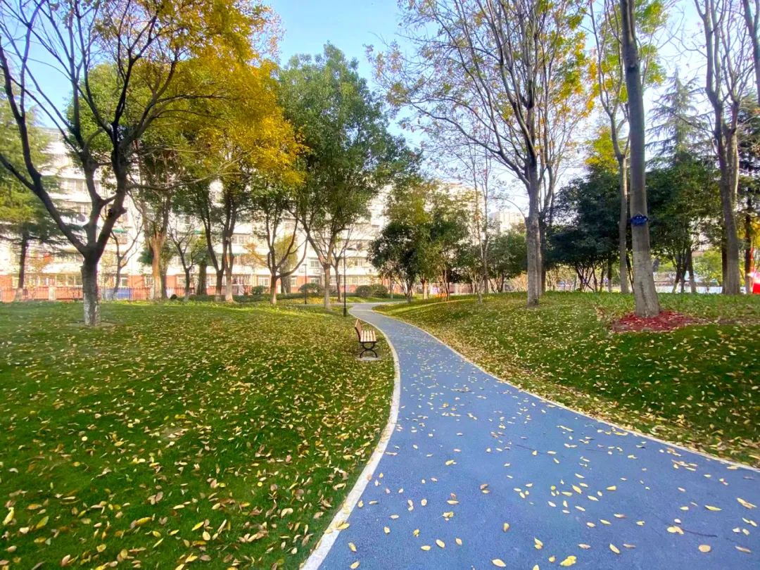 17018494248562335acec21749ce9