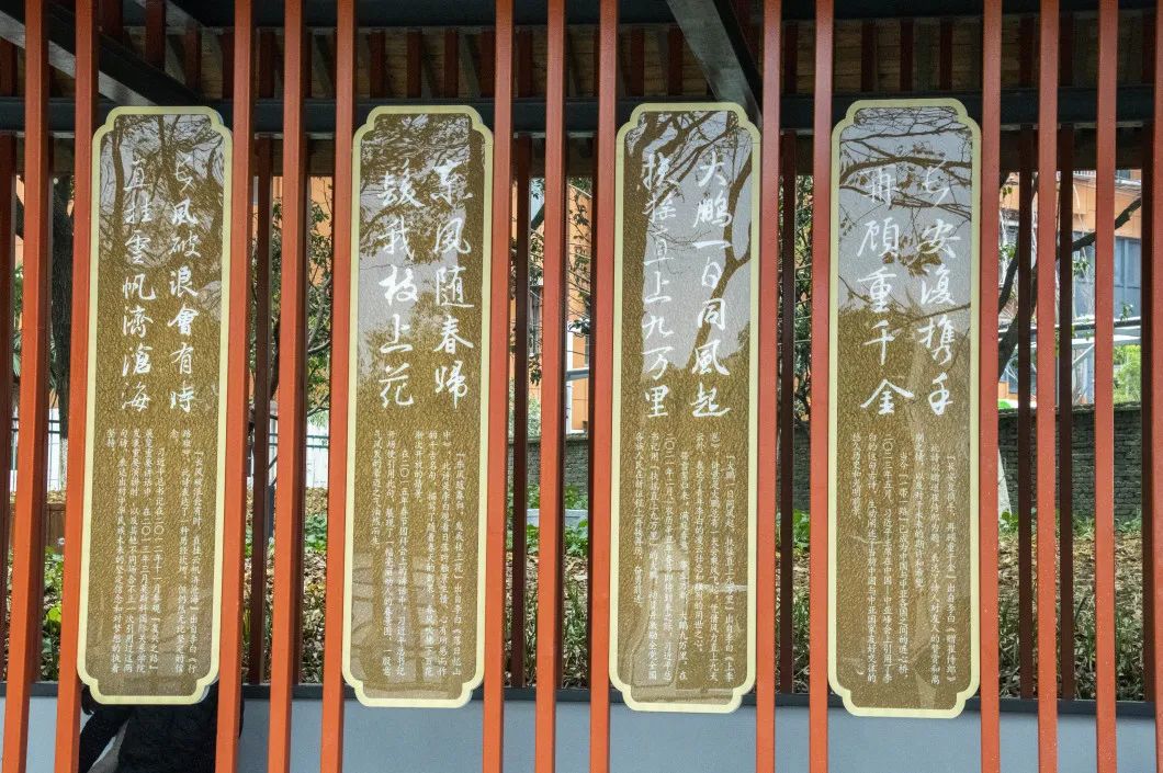 1703467081252042e31fded5616a9