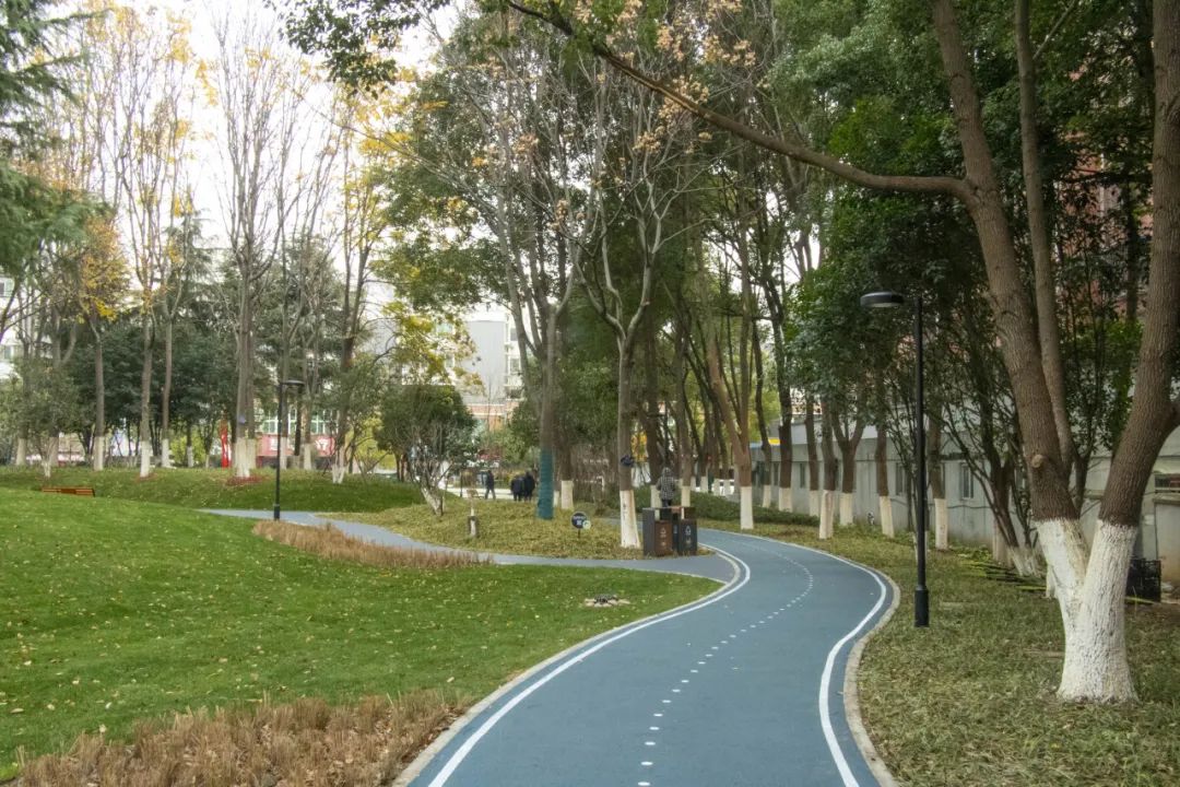 1703467086996c6c39fa3ad96ed49