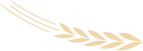 d31e827c283f26e8a5a4e7a95241e367
