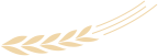 4d2d43aa0a88a9396460ff97cabb2a71