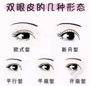 e0e048f62ae2de25_html_d9a76e249a175b54
