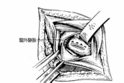 720550101f651304_html_374376c7e607192c