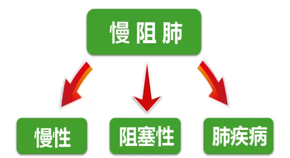 393a8d2e3ff0b8df_html_d868b09c46693c19