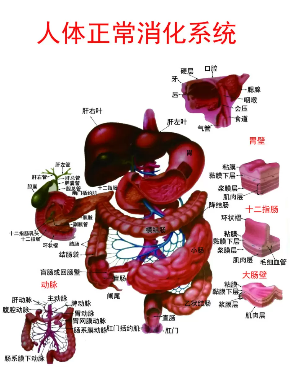 0128f01b405c7715_html_ad9a31ccc6fadc48