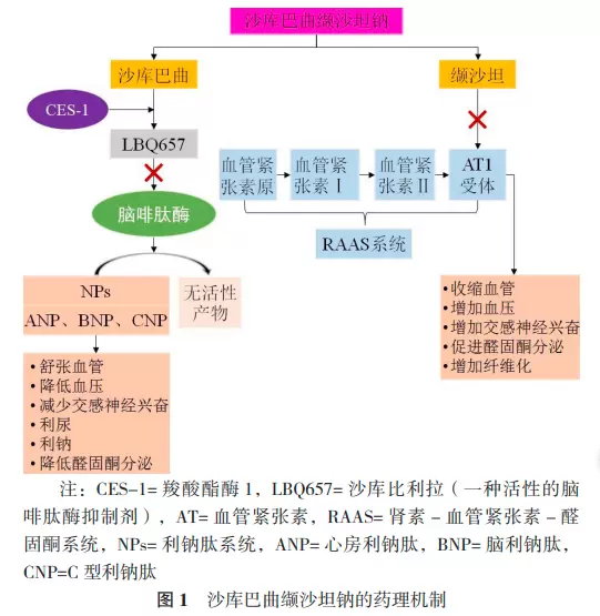 40cb2ada0f42318e_html_831c19ea8f079662