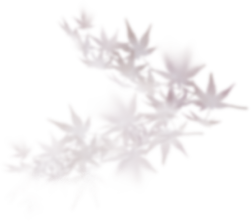 0a6d7f14e1360f1bb5b1ea5456b9ce44