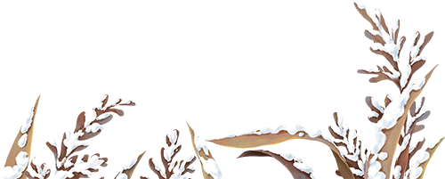 17612015643397ac1b439fd24dfd8