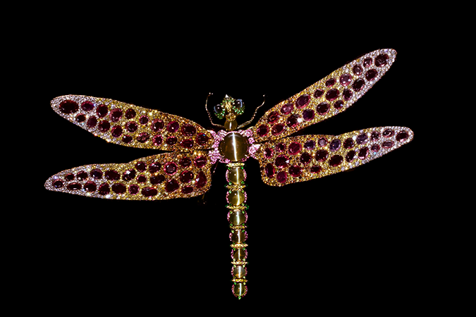 Bewitching Dragonfly Chrysoberyl Cat's Eye Brooch