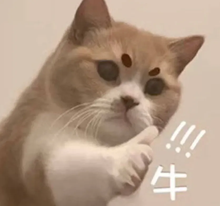 1739857265668